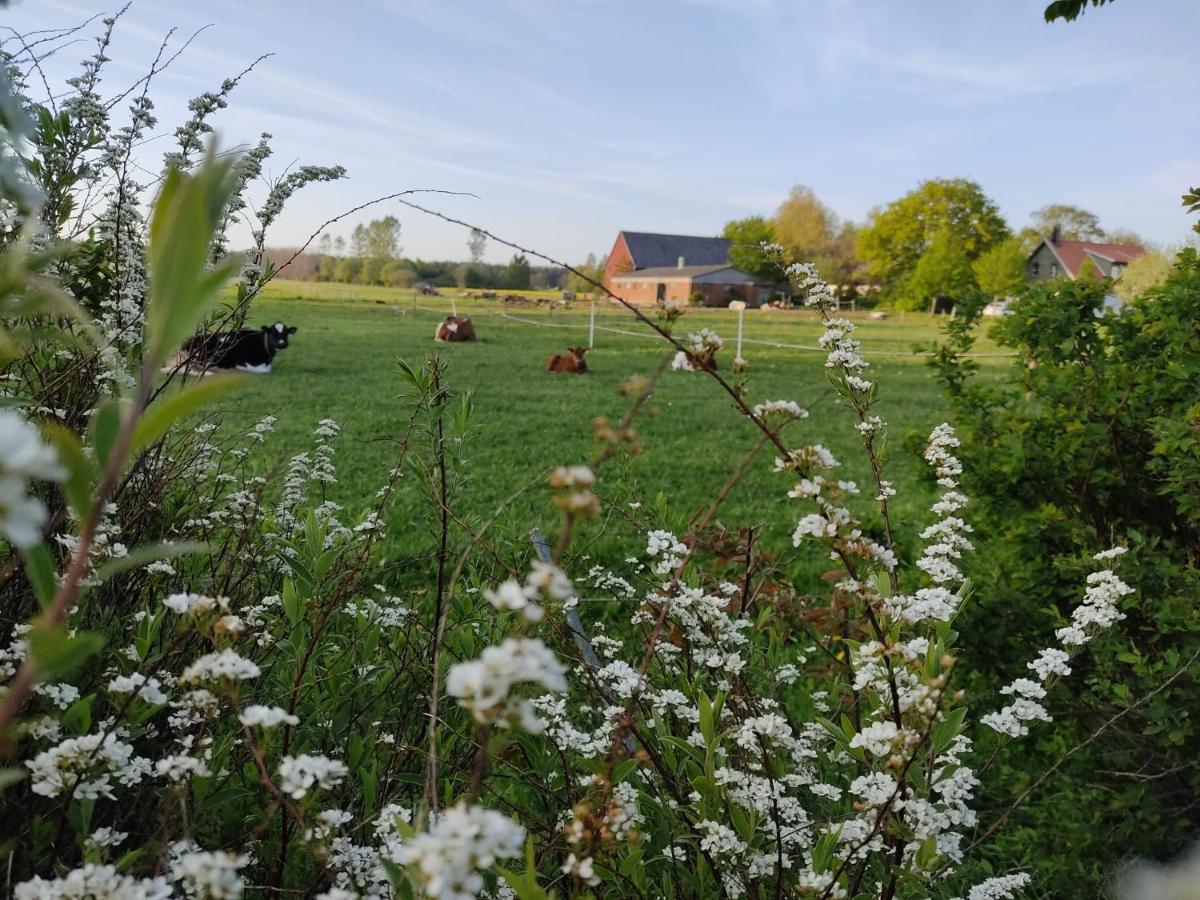 Cosyplace; Close To Beach, Nature, Train, Grocery Kopingebro Luaran gambar
